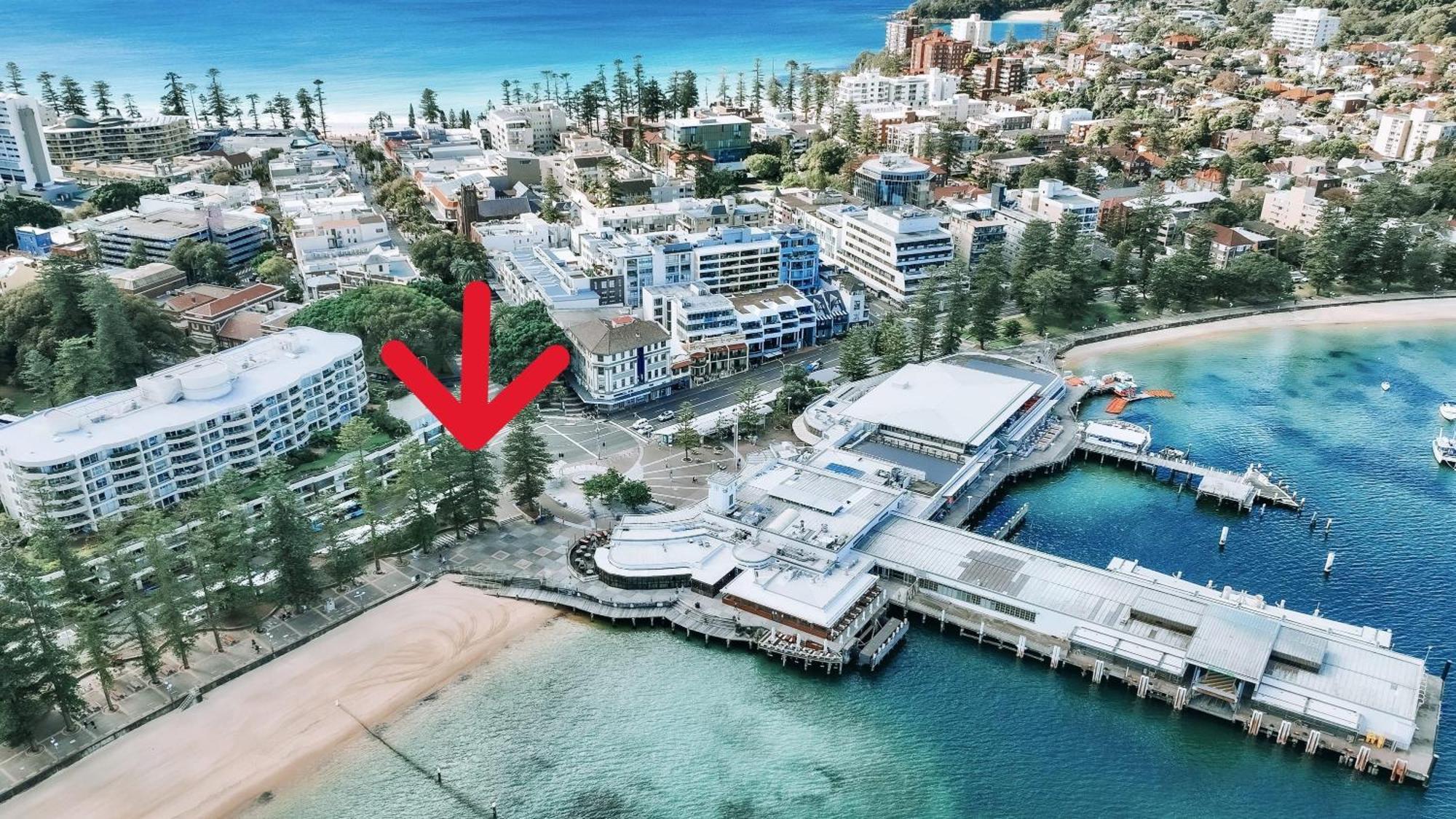 Marvelous Manly Sidney Exterior foto